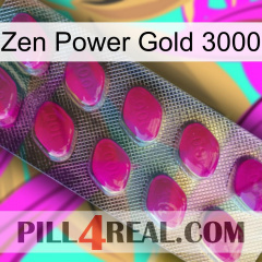 Zen Power Gold 3000 09